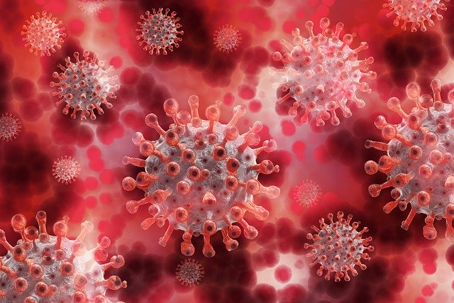 coronavirus in Northern VA